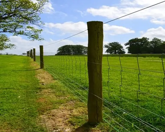 Heavy-duty mesh fence for agricultural use.
